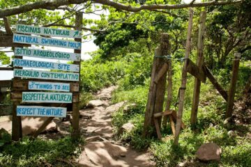 Descubra as melhores trilhas em Florianópolis que levam a praias desertas, mirantes incríveis e experiências inesquecíveis. Um guia completo pra quem curte natureza com emoção e pés na areia.