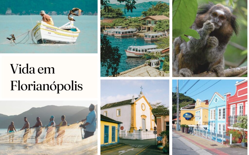 Descubra os bairros alternativos de Florianópolis e como é a vida em Floripa fora dos roteiros turísticos. Um guia para quem quer morar ou explorar além do óbvio.